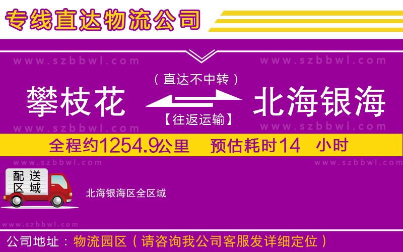 攀枝花到北海銀海區(qū)物流公司