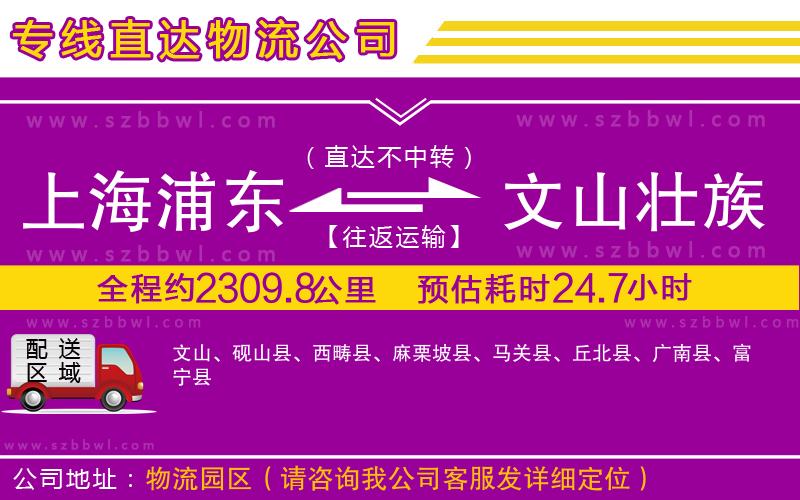 上海浦東區(qū)到文山壯族苗族自治州物流公司