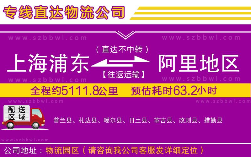 上海浦東區(qū)到阿里地區(qū)物流公司