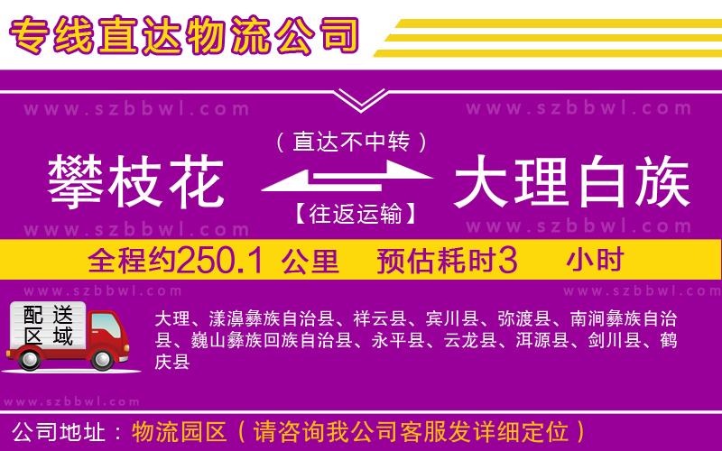 攀枝花到大理白族自治州物流公司