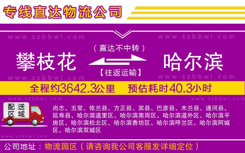 攀枝花到哈爾濱物流公司
