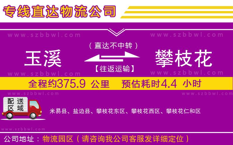 玉溪到攀枝花物流公司