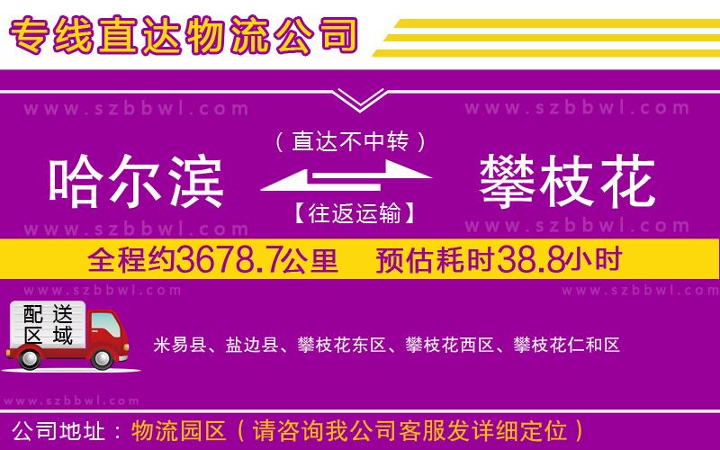 哈爾濱到攀枝花物流專線