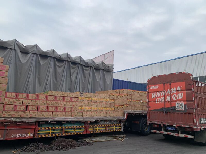 蘇州到奇臺物流公司