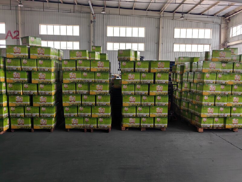 蘇州到瑞金物流公司